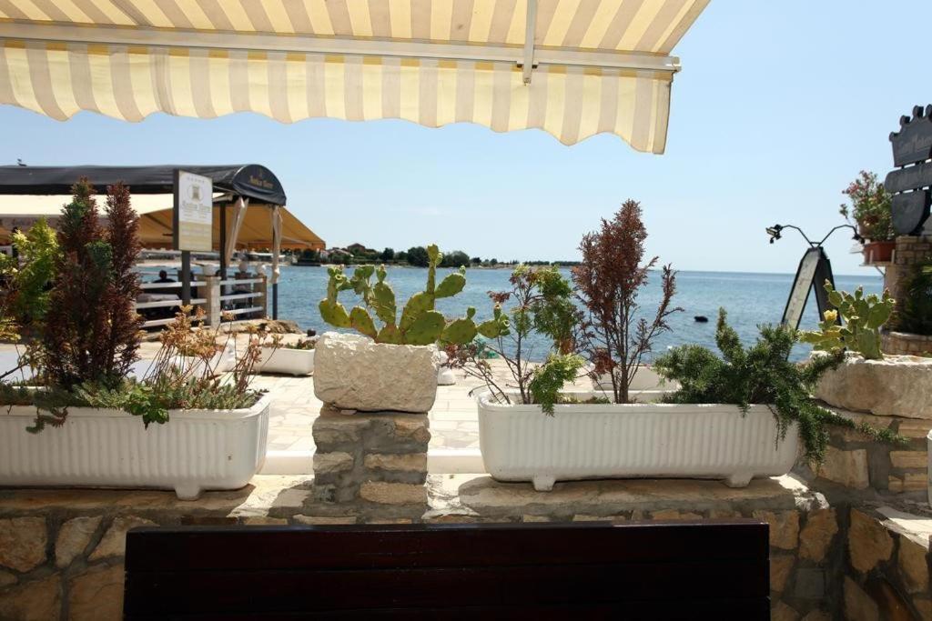 Sea View Apartment Umag 2 Экстерьер фото